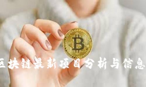 2023年区块链最新项目分析与信息采集指南