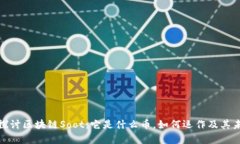 : 深入探讨区块链Soot：它