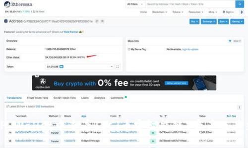 如何在TP Wallet中查看BSC（币安智能链）资产及其交易记录
