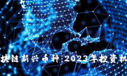 探索区块链新兴币种：2023年投资机会解析