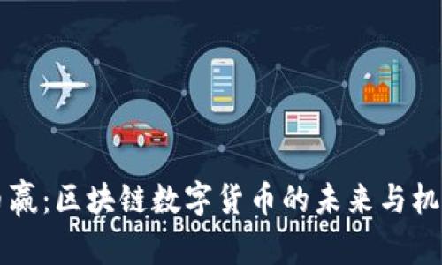 币赢：区块链数字货币的未来与机遇