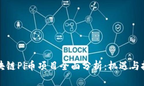 区块链Pi币项目全面分析：机遇与挑战