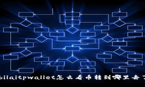 bilaitpwallet怎么看币转到哪里去了