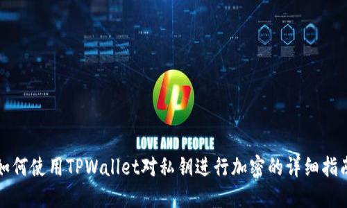 如何使用TPWallet对私钥进行加密的详细指南