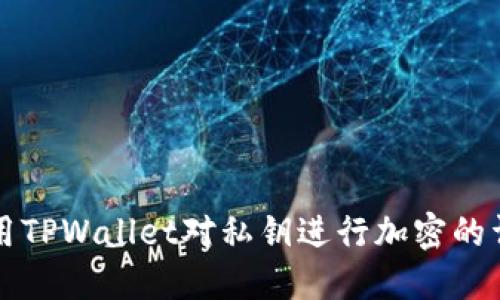 如何使用TPWallet对私钥进行加密的详细指南
