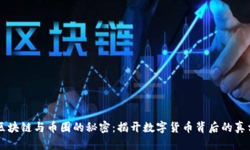 区块链与币圈的秘密：揭开数字货币背后的真相