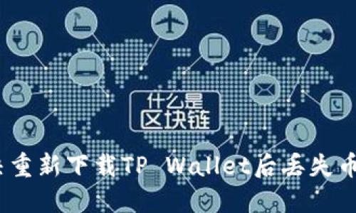 : 如何解决重新下载TP Wallet后丢失币种的问题?