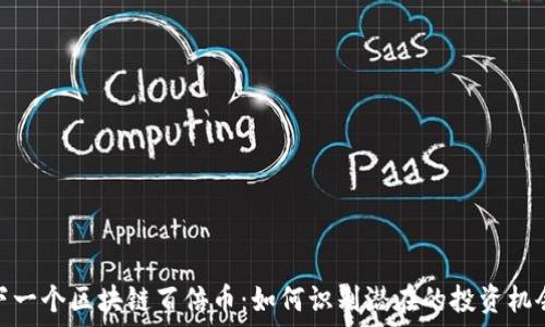   
下一个区块链百倍币：如何识别潜在的投资机会