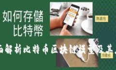 全面解析比特币区块链模型及其应用