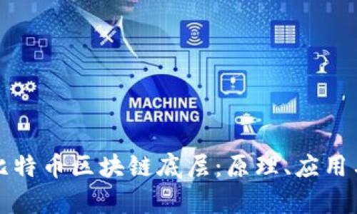 深入探索比特币区块链底层：原理、应用与发展前景